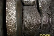 DSCI0239.JPG