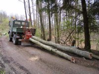 holzmachen05.jpg