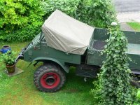 Mog Sommerdach 0777.jpg