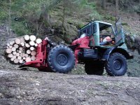 Brennholz2.JPG