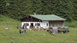 Unimog 406 auf der Alm (2).JPG