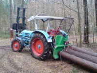 Holz005.jpg