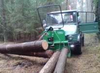 Holz001.jpg