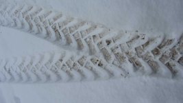 Spuren im Schnee.jpg