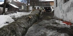 Stille Spannung - Birkeumziehen mit dem Forstmog.jpg