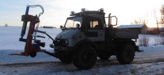 Mog im Schnee.jpg