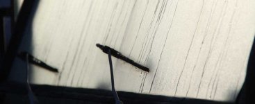 Mogdetail.jpg