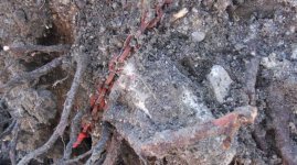 Was Rotes II.jpg