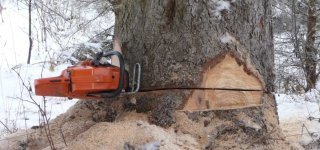 Husqvarna I.jpg