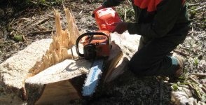 Husqvarna III.jpg