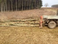 ov_img_0615.jpg