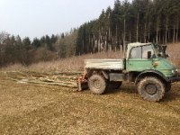 ov_img_0616.jpg