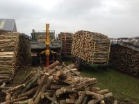 ov_img_0619.jpg