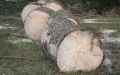 Holzmachen III.jpg