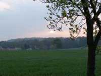 P1020043_klein.JPG