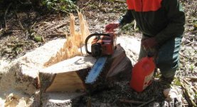 Sauberes Holz II.jpg