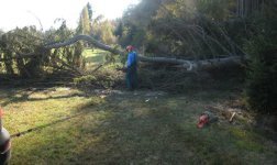 Sauberes Holz Autowinde.jpg