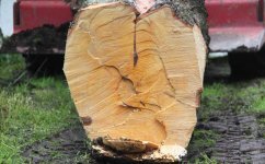 Holzstillleben III.jpg