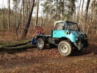 Wald2.jpg