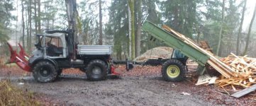 Monster im Wald.jpg