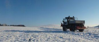 Mog im Schnee II.jpg