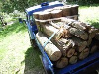Holz_00.jpg