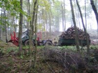 Forst1 + MÃ¼ller-Mitteltal mit Holz 006.jpg