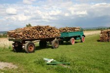 Holztransport1.jpg