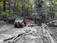 Unimog im wald 800 600 .jpg