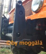 IMG_6470klw.jpg