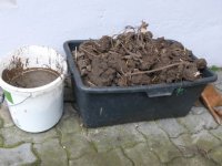 P1100306_klein.jpg