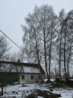 IMG_4306_1.JPG