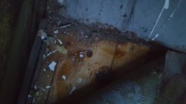 20170415_200937.jpg