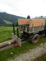 Baumheber5.JPG