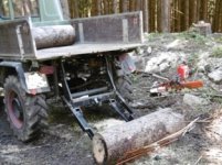 Holzheber4.JPG
