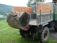 Holzheber2.JPG