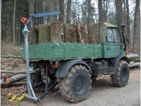 im_wald_1.jpg