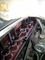 20181124_095411.jpg