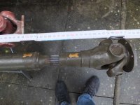 DSCF1291.JPG