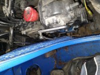 IMG_20220129_113110104.jpg