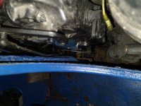 IMG_20220129_112936053.jpg