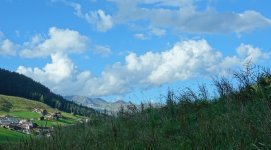 DSC05170_zu.jpg