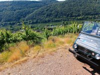 Foto an der Mosel.jpg
