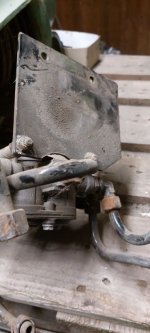 Halter.jpg