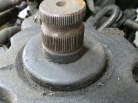 20251009_171745.jpg