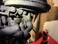 IMG_0217.jpeg