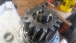 20260317_093855.jpg