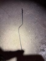 IMG_2695.jpeg
