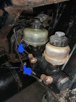 1000099675.webp