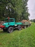 Holz sägen 2025.webp